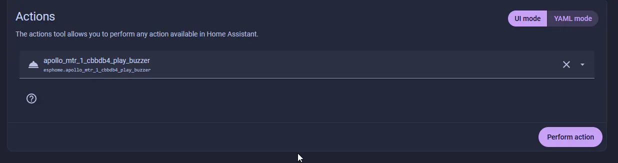 Home Assistant Developer Tools action form before ESPHome metadata