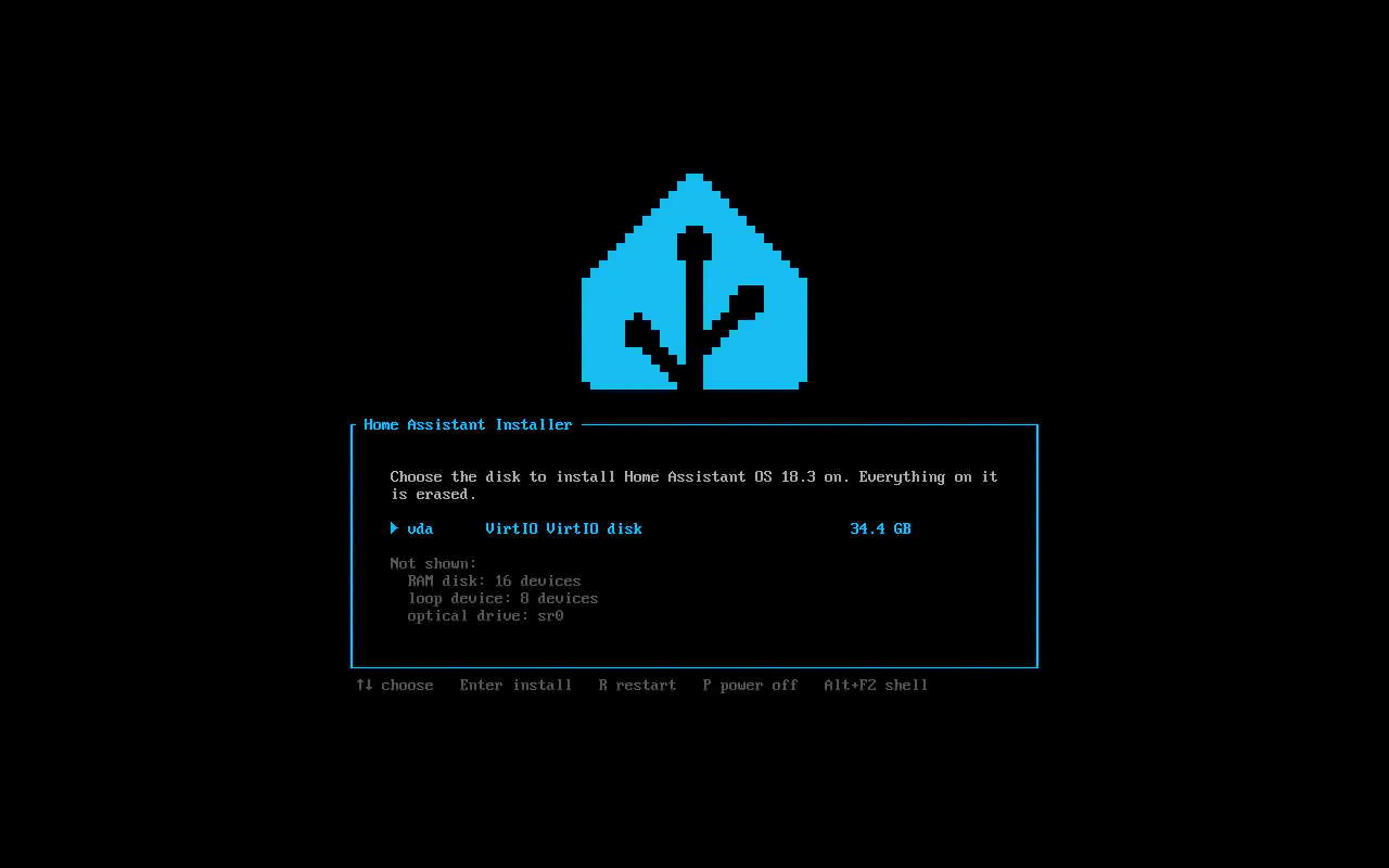 Home Assistant’s live USB installer asks which disk to install onto.
